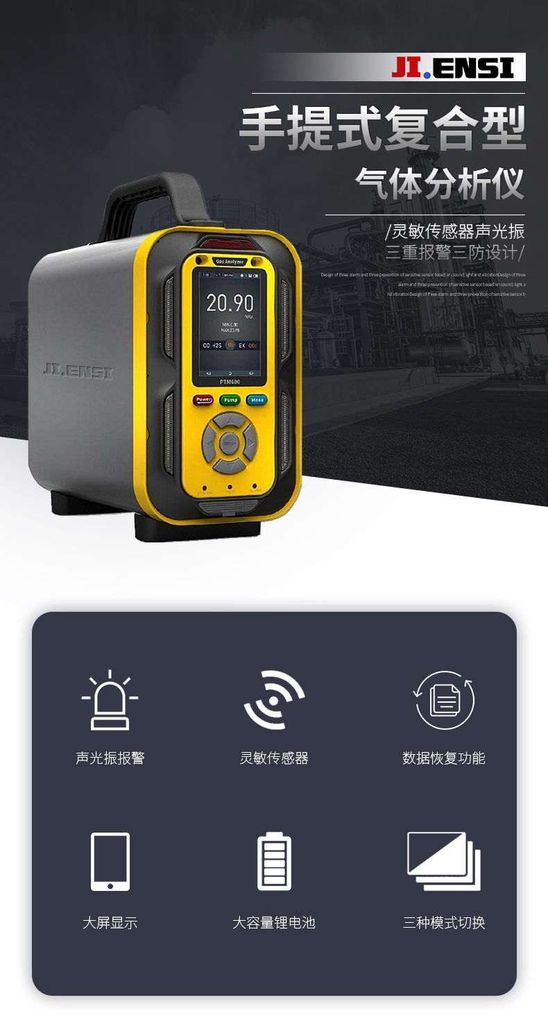 手提式复合型气体分析仪_01.jpg