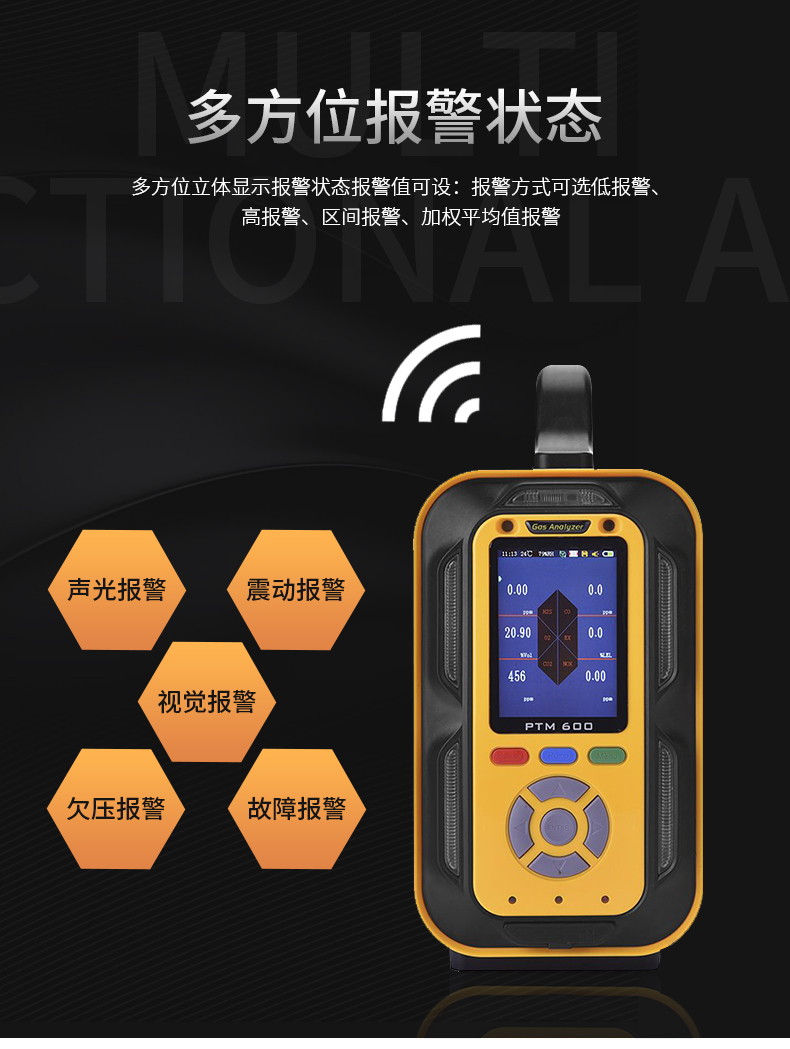 手提式复合型气体分析仪_06.jpg